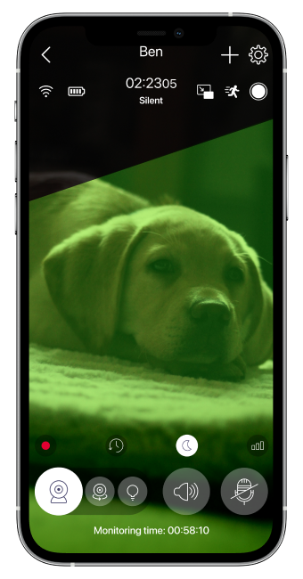 The night vision feature lets you see your pet in lower light conditions